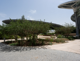 Expo City Dubai’s Mini Forest Emerges as Global Model for Urban Resilience and Biodiversity