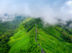 Sri Lanka Announces Free Tourist ETA for UAE, India, Pakistan and 37 Other Countries