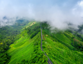 Sri Lanka Announces Free Tourist ETA for UAE, India, Pakistan and 37 Other Countries