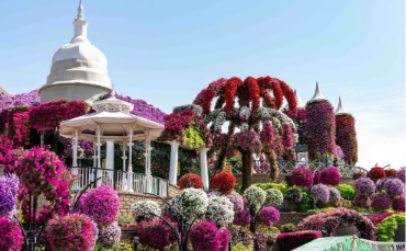 Dubai Miracle Garden Offers Free Entry for UAE Residents for Two Weeks