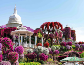 Dubai Miracle Garden Offers Free Entry for UAE Residents for Two Weeks