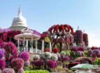 Dubai Miracle Garden Offers Free Entry for UAE Residents for Two Weeks