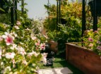 UAE's Gardening Experts Share Secrets to Keeping Gardens Thriving All Summer Long