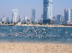 Women's Beach, Cycling Track, and More: A Look at Dubai's Al Mamzar Corniche Beach Development