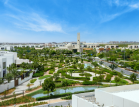 LEAD Development Highlights Jubail Island’s Advanced Water System Amid UAE Rainfall