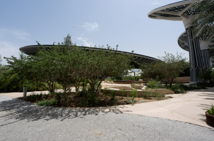 Expo City Dubai’s Mini Forest Emerges as Global Model for Urban Resilience and Biodiversity