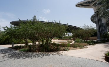 Expo City Dubai’s Mini Forest Emerges as Global Model for Urban Resilience and Biodiversity