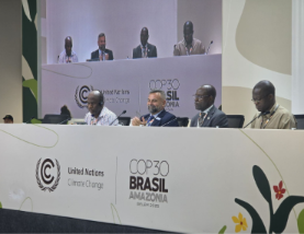 Malawi debuts world’s first AI-enabled Paris Agreement platform at COP30