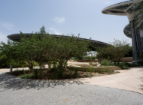 Expo City Dubai’s Mini Forest Emerges as Global Model for Urban Resilience and Biodiversity