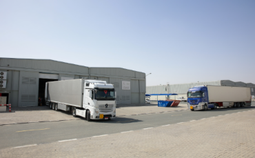 Dubai Humanitarian Dispatches WHO Medical Aid to Gaza Under Mohammed bin Rashid’s Directives