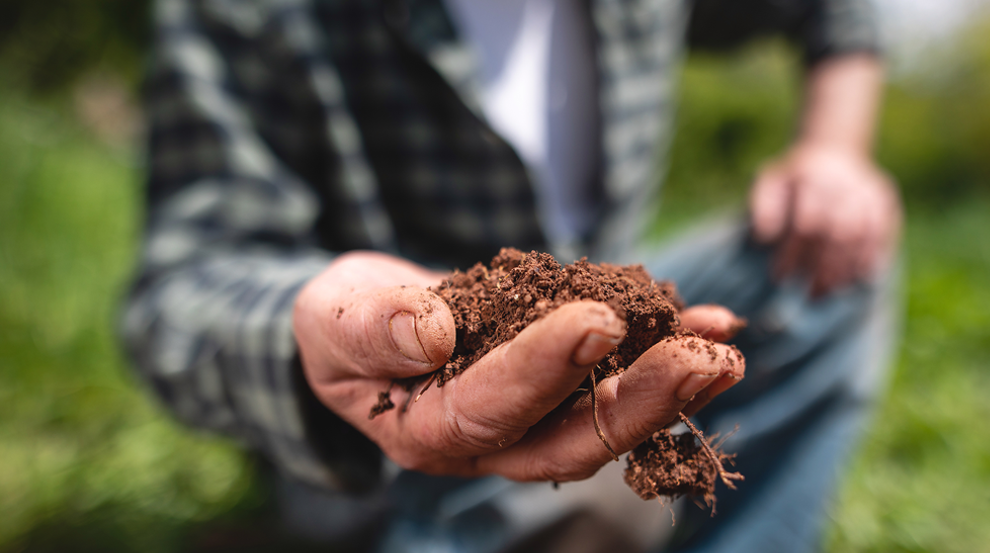 Nestl unveils plans to support the transition to a regenerative food system