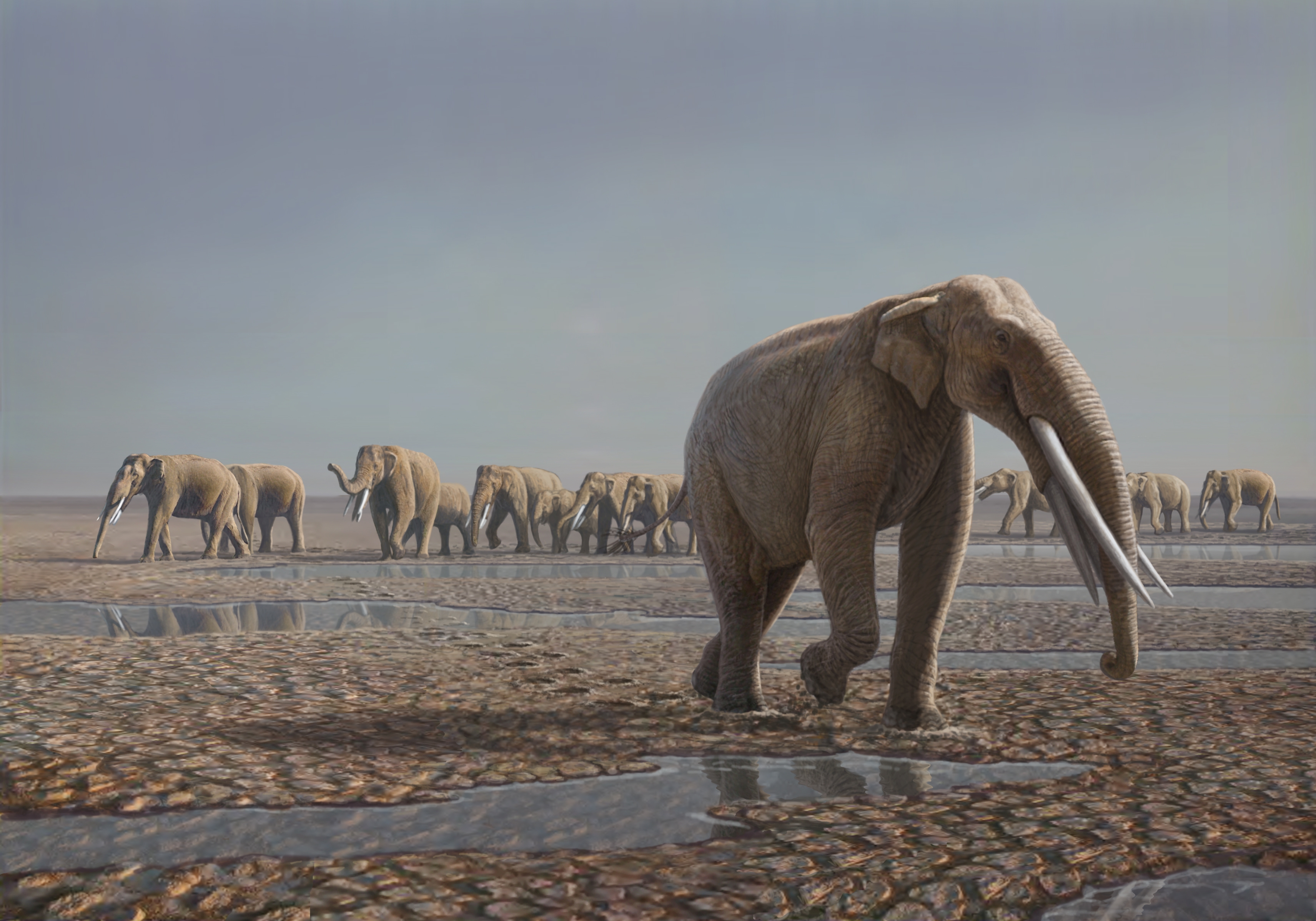 First Of Its Kind Abu Dhabi Conference To Bring Fossil Discoveries To The Public