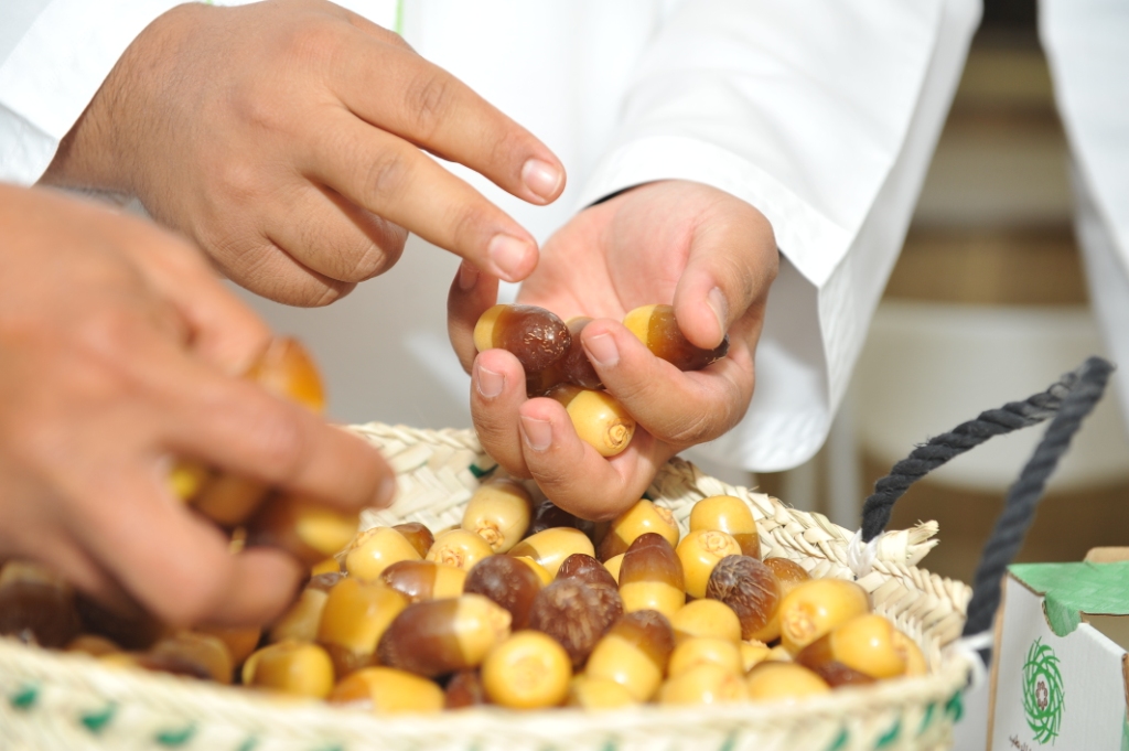 Intensive arrangements ahead of the launch of the Liwa Date Festival in its 11th Edition on the 22th of July, 2015