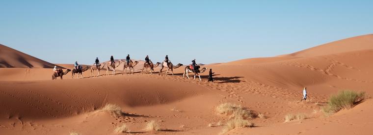 Thrilling Desert City Activities in and Around Dubai City