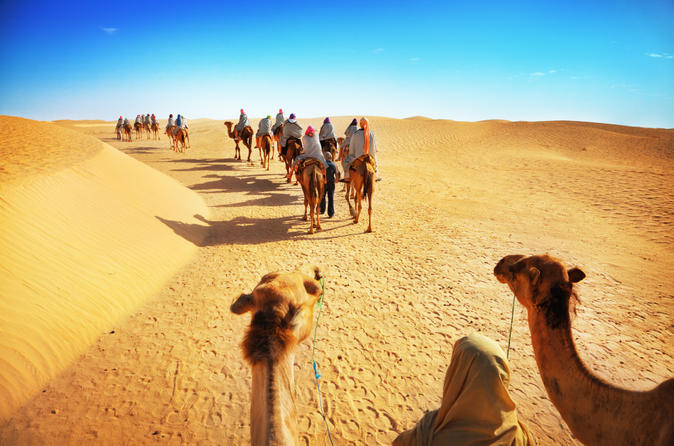 Want Dubai Discount Tours? Try a Safari