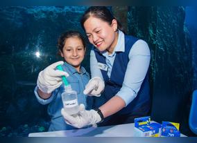 School Bells will ring soon, before the new term Sign up for Emaar Entertainments summer camps 