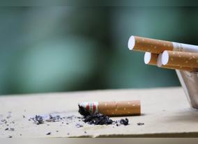 First Batches of Cigarette Packs Bearing Digital Tax Stamps Reach UAE Markets