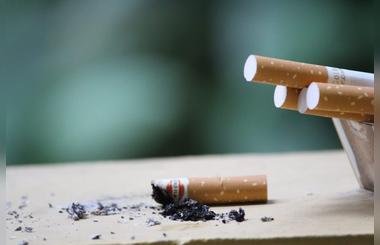 First Batches of Cigarette Packs Bearing Digital Tax Stamps Reach UAE Markets