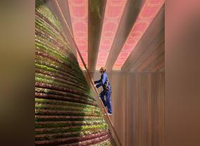 Calling for Sustainability at Expo 2020
