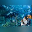 Emaar to Entertain Guests at Address Hotels and Resorts