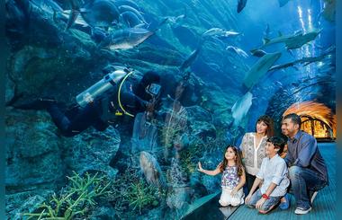 Emaar to Entertain Guests at Address Hotels and Resorts