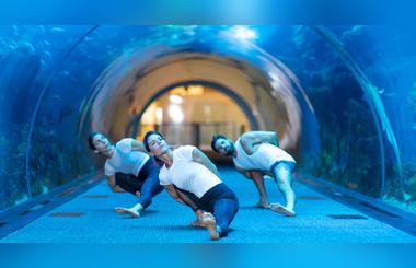 Celebrate World Wildlife Day with Yoga and 30,000 fish! 