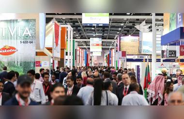 Russia-UAE-Africa Food Security Forum 2019 kicks off with a wide turnout