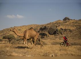 Swiss Mountain Biker Ren Wildhaber Conquers Dhofars Salalah Mountain Trails with the Help of Camels