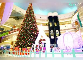 Experience the Cool Shopping Season at Dalma Mall