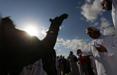Amel Beauty Judges Get Tougher at Al Dhafra Festival