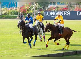  Head to Dubai Polo & Equestrian Club for this years  UAE National Day Polo Cup