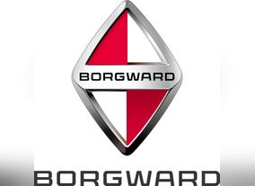BORGWARD BX7 SUV Granted Quality Certification from European Whole  Vehicle Type Approval (WVTA)