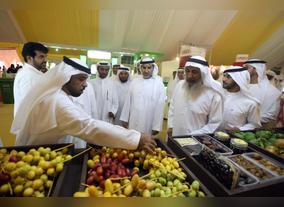 Hundreds of Visitors Tour the Liwa Dates Festival in the First Hours of its Opening Day