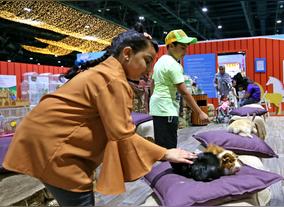 Modhesh Worlds Furr-iendly Attraction Draws Animal  Lovers