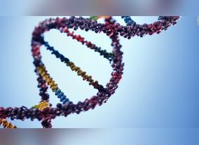 Genetic Diseases in the Middle East