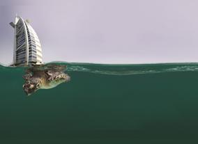 Jumeirah Celebrates World Sea Turtle day by  Tehabilitating 40 Turtles to the Arabian Gulf
