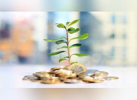  To Invest or Not to Invest, That Is the Question