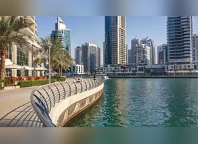  The Place Where "Haves" Can Revel