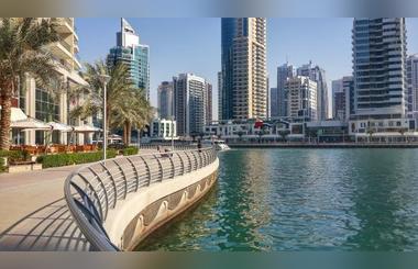  The Place Where "Haves" Can Revel