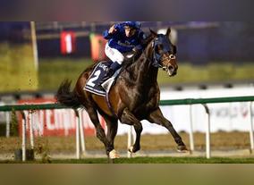 American Horse Curlin Takes the $6 Million Dubai World Cup