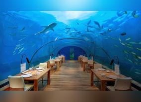 Valuable Tourist Information on Traveling to Dubai