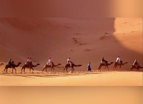 Planning A Mystical Dubai Desert Safari Tour