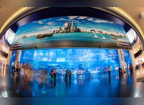 Dubai, UAE: A Shopper's Paradise!