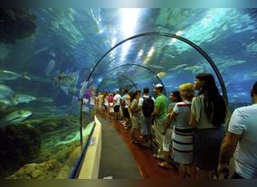 Why Has Dubai Tourism Gotten So Popular?