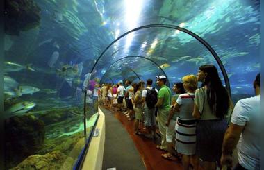 Why Has Dubai Tourism Gotten So Popular?