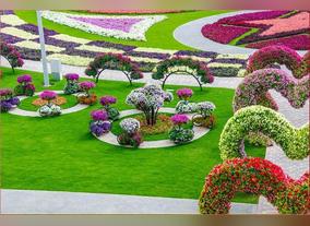 The Beautiful City of Dubai