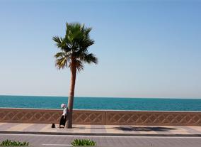 Holidays in Dubai - Some Travel Tips