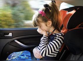 Car Sickness Research to Put Brakes on Family Road Trip  Curse  That Even Affects the Pet Goldfish