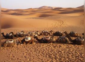 Crossing Borders in the Arabic Peninsula