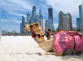 Discover Cheaper Calls to the UAE